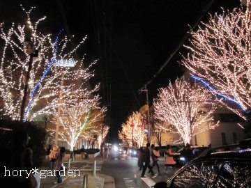 �L���C�Ɍ�����H