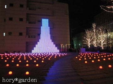 �����������H