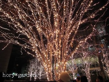 �ł��A���܂����Ȃ��ˁ`