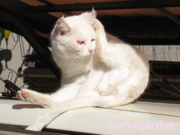 ܁AĂ͍ȂĂ邯ǁA\LAv