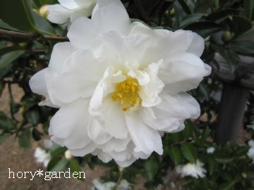 �T�U���J����ˁH