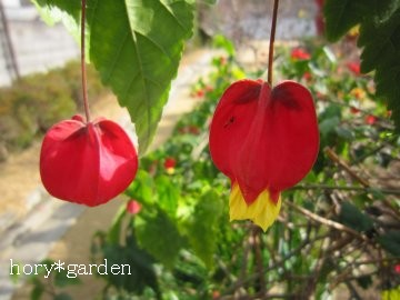 �A�u�`�����@�`�����A�������v