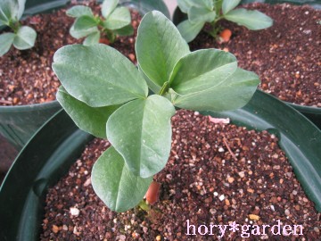 Â܂܂łȂ܂ŃL[vĂˁ