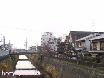 12/16�@��_�ϑ�48����