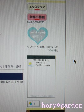 ��Ԑ��̉��F�A�T���^�̐ԁA���~�̖؂̗΁I�����A���݂̂��`�����A���݂̂��`��