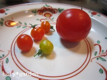 Ȃɑ傫Ⴄ˂ŃF`тȂ`