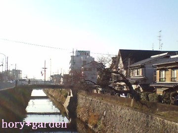 12/17�@��_�ϑ�49����