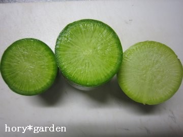 �ΐF�̑卪�A�H�~������H�@������Ȃ��H�����H