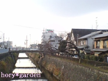 12/18�@��_�ϑ�50����