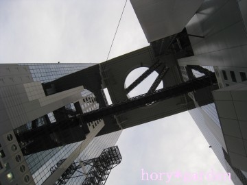 �ǂ�����Č��z�������낤�c�킴�킴�A�A���ׂ̈ɑ���g�񂾂́H