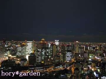 ���̎ʐ^�̏㉺���J�b�g���ă��T�C�Y�����̂��A�g�b�v�ł���