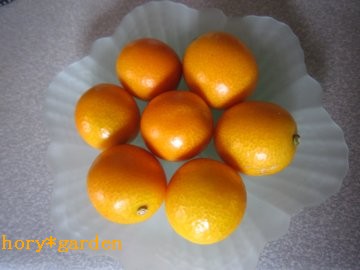 �o�܂����`�L���J��U+203C