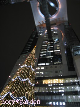 ���c��ɂ��`�I�ʐ^���̐������ƂԂ��`�I