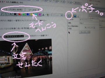 �����l�ߍ��݉߂����ʐ^�ł����Ɓi�΁j