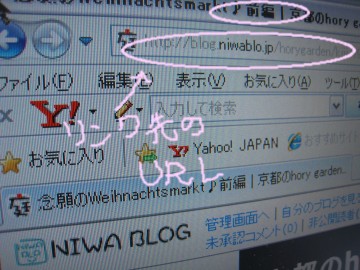 ������ʎB��ƁA�ʐ^���i�~�i�~�Ŕ��������c����Ȃ��i�΁j