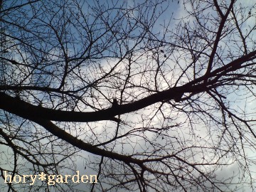 12/22���@����@�~�p�@