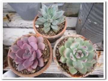 ���}���������������B�ł��B