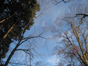 �������ȋ�c�ł������Ȃ���Ⴀ�����������j�ł�����