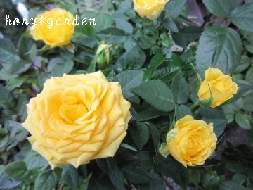 ���������Y��ȉ��F�@����Ⴆ����U+203C