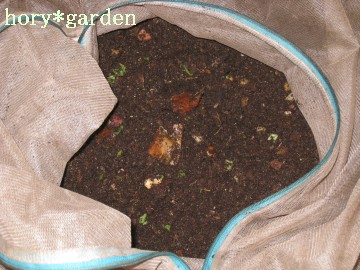 ���́A�����Ə������������Ȃ��Ă��`��������̂���ςȂ��炢�I