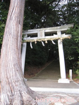 �����̐_�Ђ̒ł̎��͔��������čD����c�ł��ŋߏE���ɗ��ĂȂ��킟�B