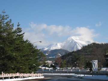 �k���������Ă����I�u�_�c�o�`�v���p�V������