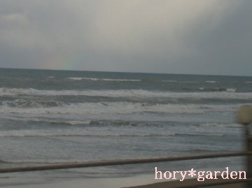 ���A������H���̊C���班�������o�Ă�̂�I�ʐ^����Ȃ��Ȃ��������˂��i�΁j