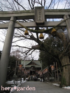 �E���ɑ傫�ȃP���L�̖؂�����܂��āA�����ɎR���Ԃ��炢�Ă��܂�����