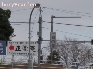 �́A���̓������Ɂu�L���b�c�A�C�v���Č����i���X���������Ȃ��c���������͂Ȃ�����ǁi�΁j