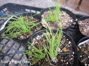 ���O���X�͈�Ăɉ���o�������ł����U+203C�@�Ԉ������ɂ�����`