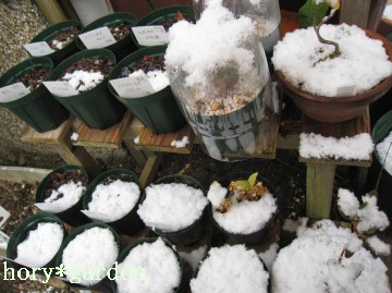 �Z���y�������̃y�b�g�{�g���A���ׂ̈�����̂����I�H������ˁ�