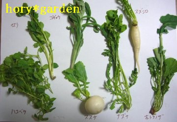 ���N�̎g���񂵂̎����ʐ^�B���N�A�B��Y�ꂿ������̂�`�@�͂͂�