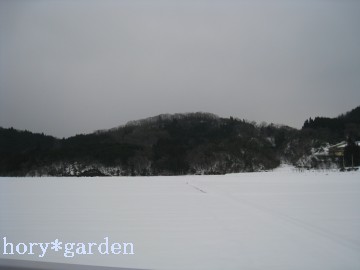 �ڂӂ��ă_�C�u�������i�΁j�ፑ�̐l�ɂ́A�q�����Ȃ����Ďv����񂾂낤�Ȃ��i�΁j