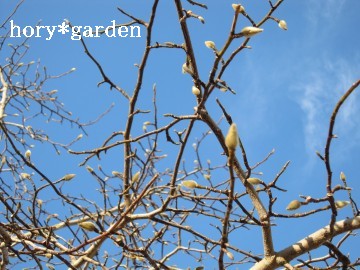 �t���҂��������˂��`