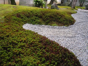 �m���ɂ������ʂ�A����ς����ɂ����܂ł̊Ǘ��͂������Ǝv���B