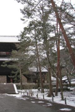 ��������̂��ǂ����Ə����v�����̂ł����c�i��΁j