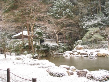 ���X���͂钆�A�P���������ɎU����