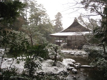 ��O�Ɋ�����̕�����H�r��������������Ă�����I