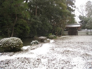 �ۂ̐��炪�C�ɂȂ��āc�܂��A�܂��Ⴄ�@��Ɂ�