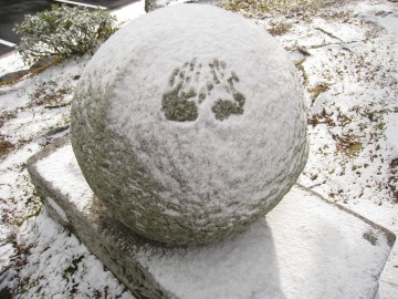 �c�c�c�x�̎�`�i�΁j�@�j�x���܂ł͏o�ĂȂ��ȁi�΁j