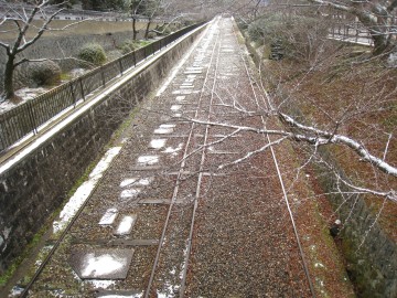 ���̎����ɂ킴�킴�A�h���C�u�C���ŏR��ʂ��Ă�����������܂����i�΁j