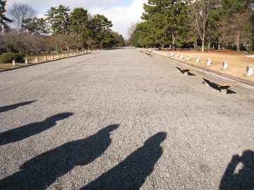 ���̉e�̎ʐ^�c������Ƃ����������i�΁jY�͈�ԉE����`�i�΁j