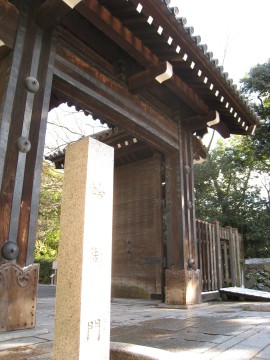 �m���ɒe�̍���������I�����A�哴�䏊������������񂾂��ǁc�i�΁j