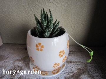 ���̉肪�o�Ă�́H