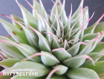 �����Ƃ��Ă͉����񂾂��ǋÎ��o���Ȃ��񂾂�ˁ`