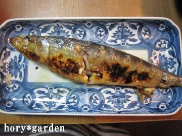 ���ꂪ�������񂾂��ǂˁ`