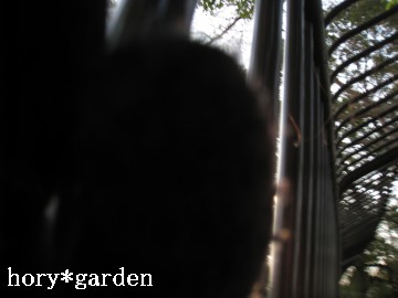 �����ƂƂƂ̂����Ƃ��Ɓ�