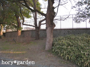 ���͋��̍������炢�܂ł����āc�`�r�ɂ͕��o��ł���