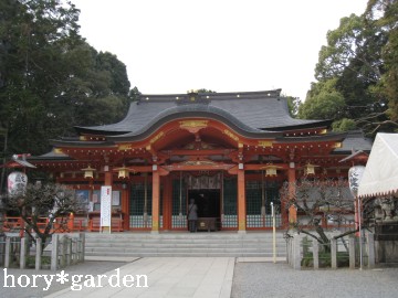 �����̔~�͂܂��ł����B