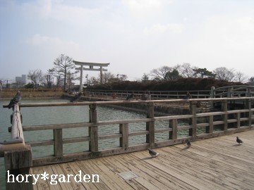 ���ƌ�������񂢂�r��L���V�}�c�c�W�̑O�Ɂc�~�ƍ�����